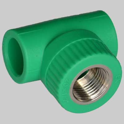 TEE FILETTATO FEMMINA