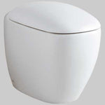 VASO CITTERIO RIMFREE