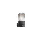 APPLIQUE DARK ANTRACITE/FUME' 1XE27 IP54 CON SENSORE 10,6X11,9X21,8CM