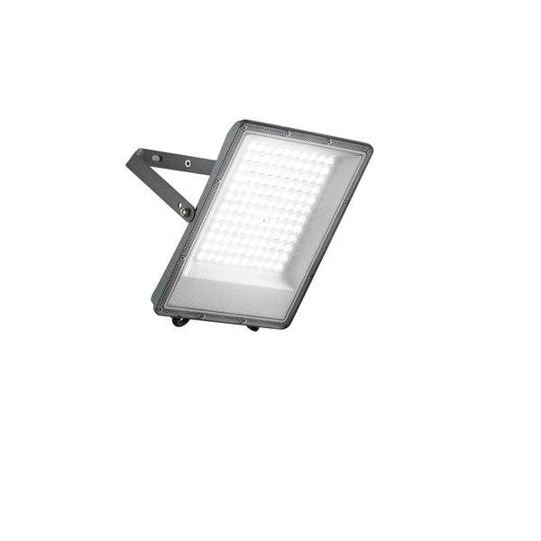 Led Esus 100