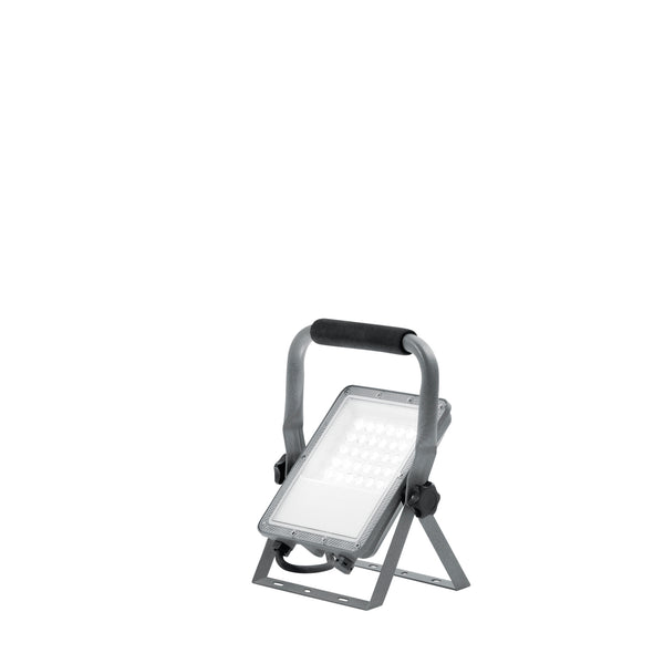Led Esus P30