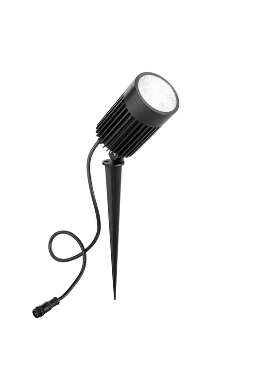 Led Haydon 30
