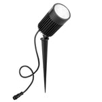 Led Haydon 30