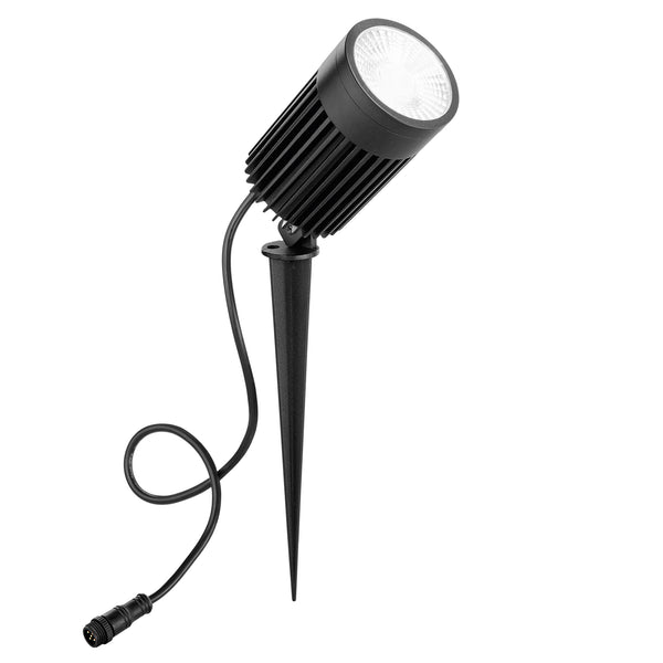 Led Haydon 30