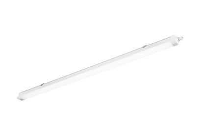 Rubis Bianca