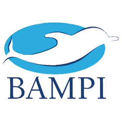 RUBINETTO GALLEGGIANTE MAGNETICO BAMPI